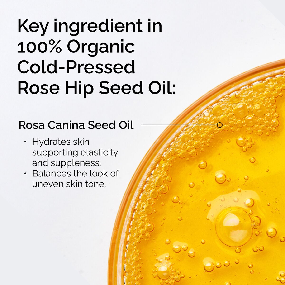 100-organic-cold-pressed-rose-hip-seed-oil-q5 FY25-D41247-ORD-Web-PDP-100-Rose-Hip-Oil-1x1-EN-2.jpg