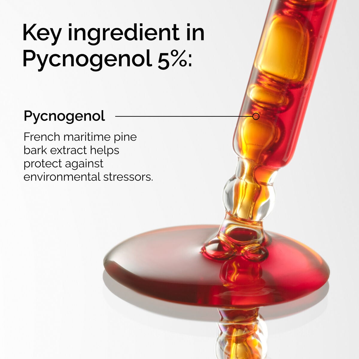 pycnogenol-5-h5 FY25-D41247-ORD-Web-PDP-Pyc-5pct-1x1-EN-2a.jpg