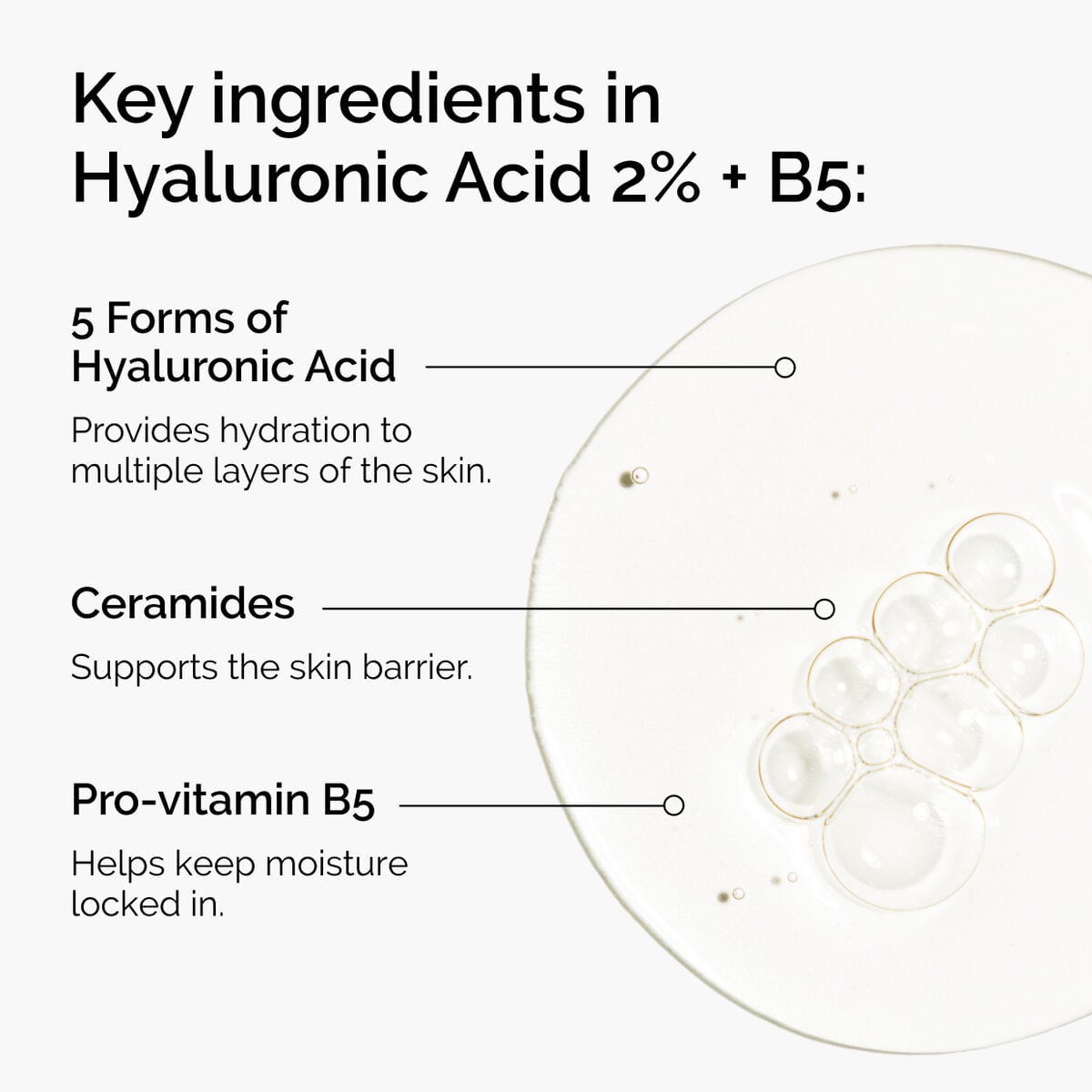 hyaluronic-acid-2-b5-with-ceramides-x9 ord-hyaluronic-acid-2pct-b5-hydrating-serum-ingredients-graphic.jpg